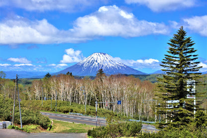 From Sapporo: Furano and Biei Vibrant Fields Tour