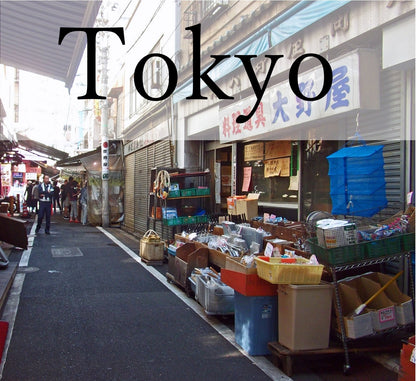 Tsukiji & Central Tokyo Culinary Hop Private Shore Excursion with English-Speaking Driver from Tokyo International Cruise Terminal