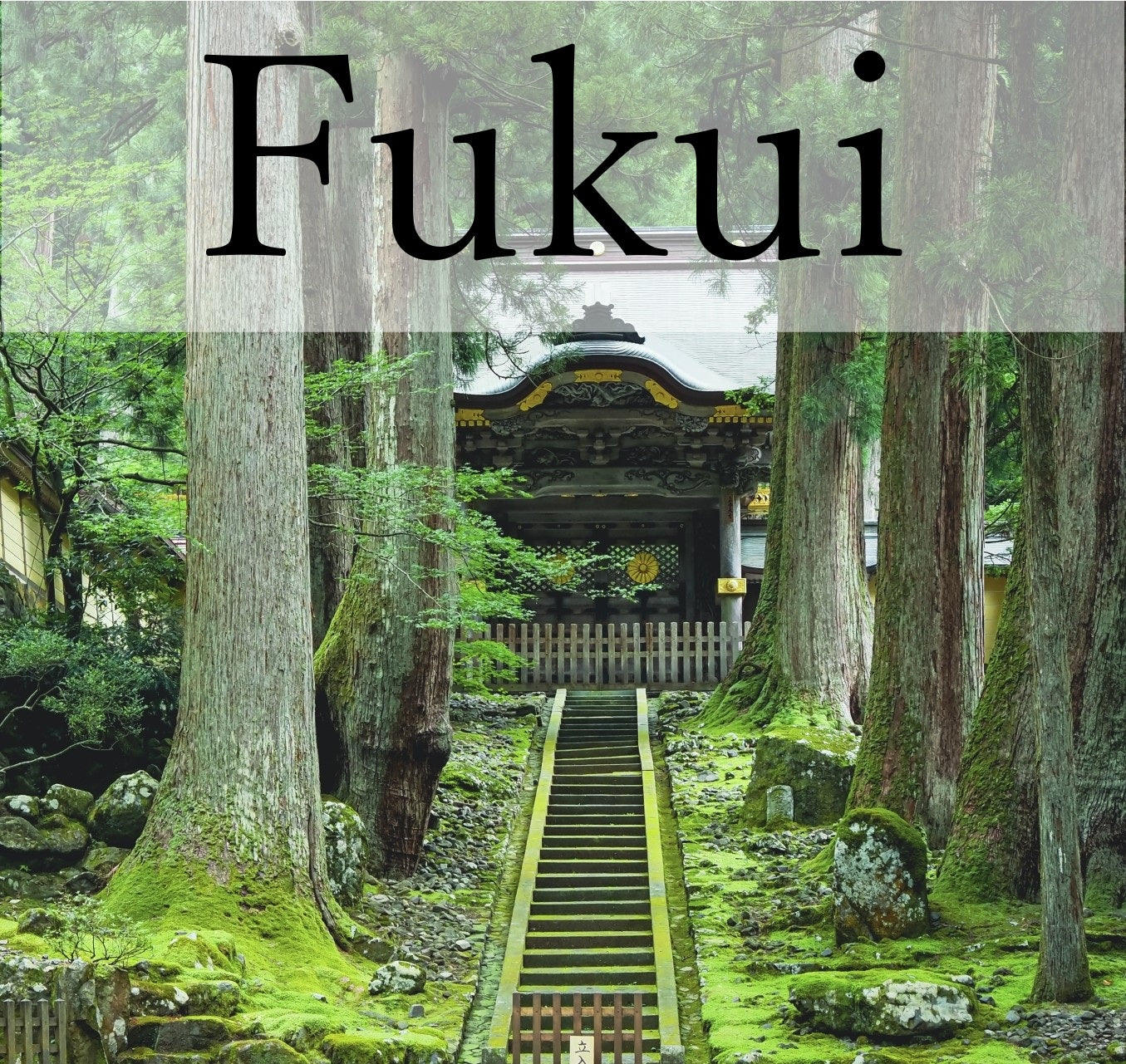 Eiheiji Zen Temple & Tin Amulet Making Experience Private Shore Excursion from Tsuruga Port/With English speaking guide