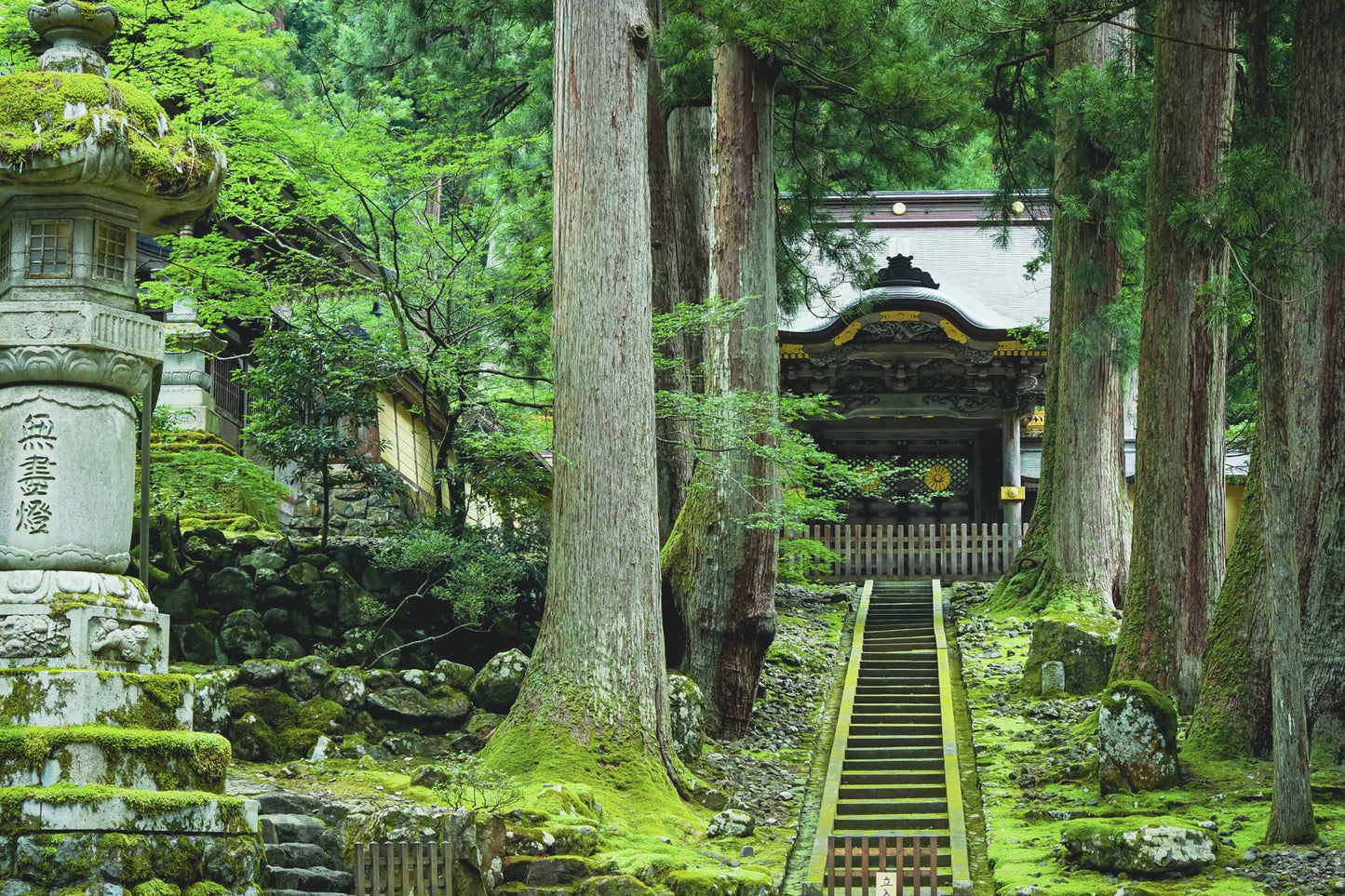 Eiheiji Zen Temple & Tin Amulet Making Experience Private Shore Excursion from Tsuruga Port/With English speaking guide