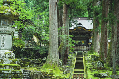 Eiheiji Zen Temple & Tin Amulet Making Experience Private Shore Excursion from Tsuruga Port/With English speaking guide