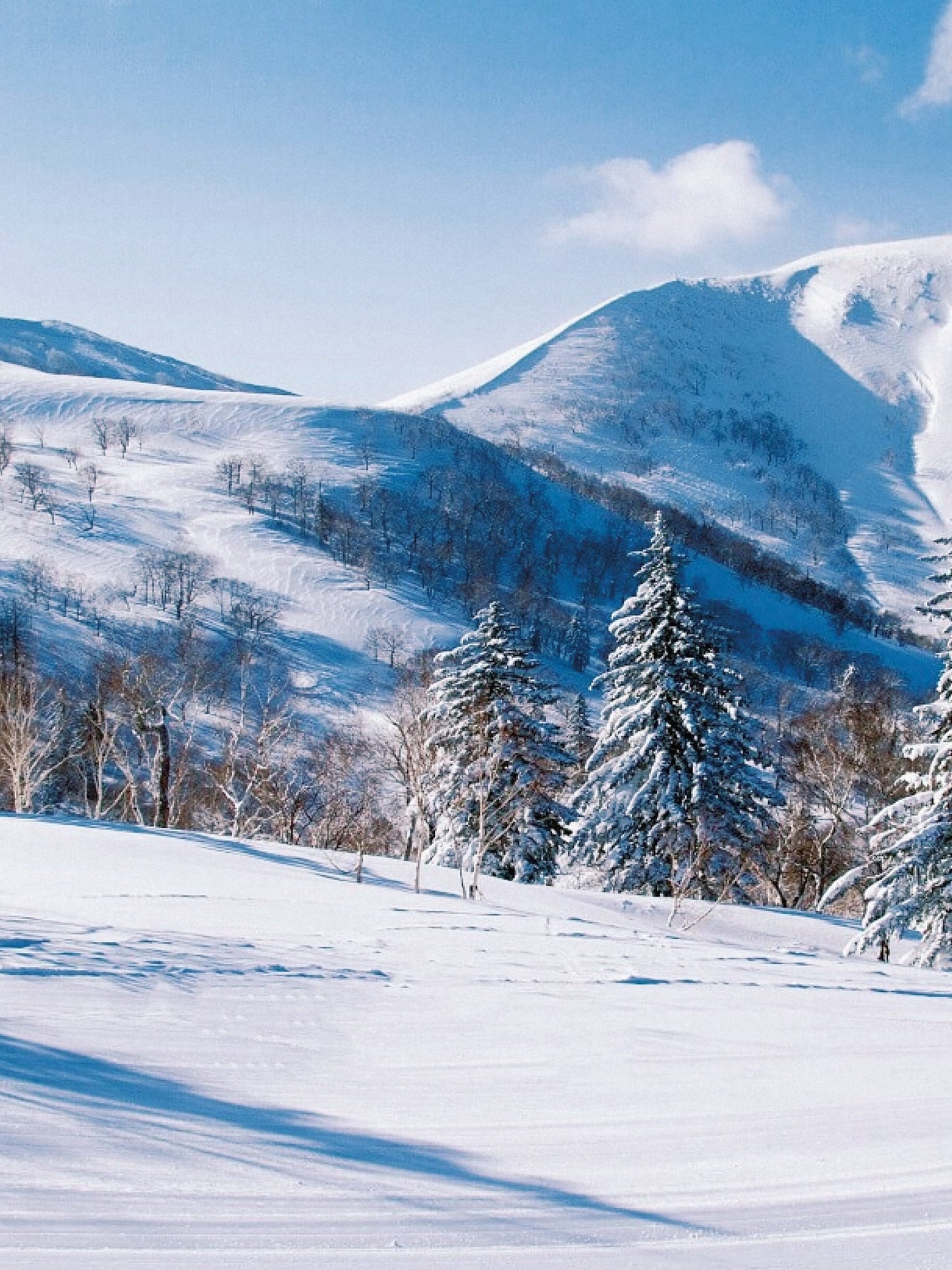 New Chitose Airport (CTS) to Kiroro