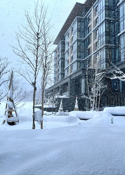 New Chitose Airport (CTS) to Niseko